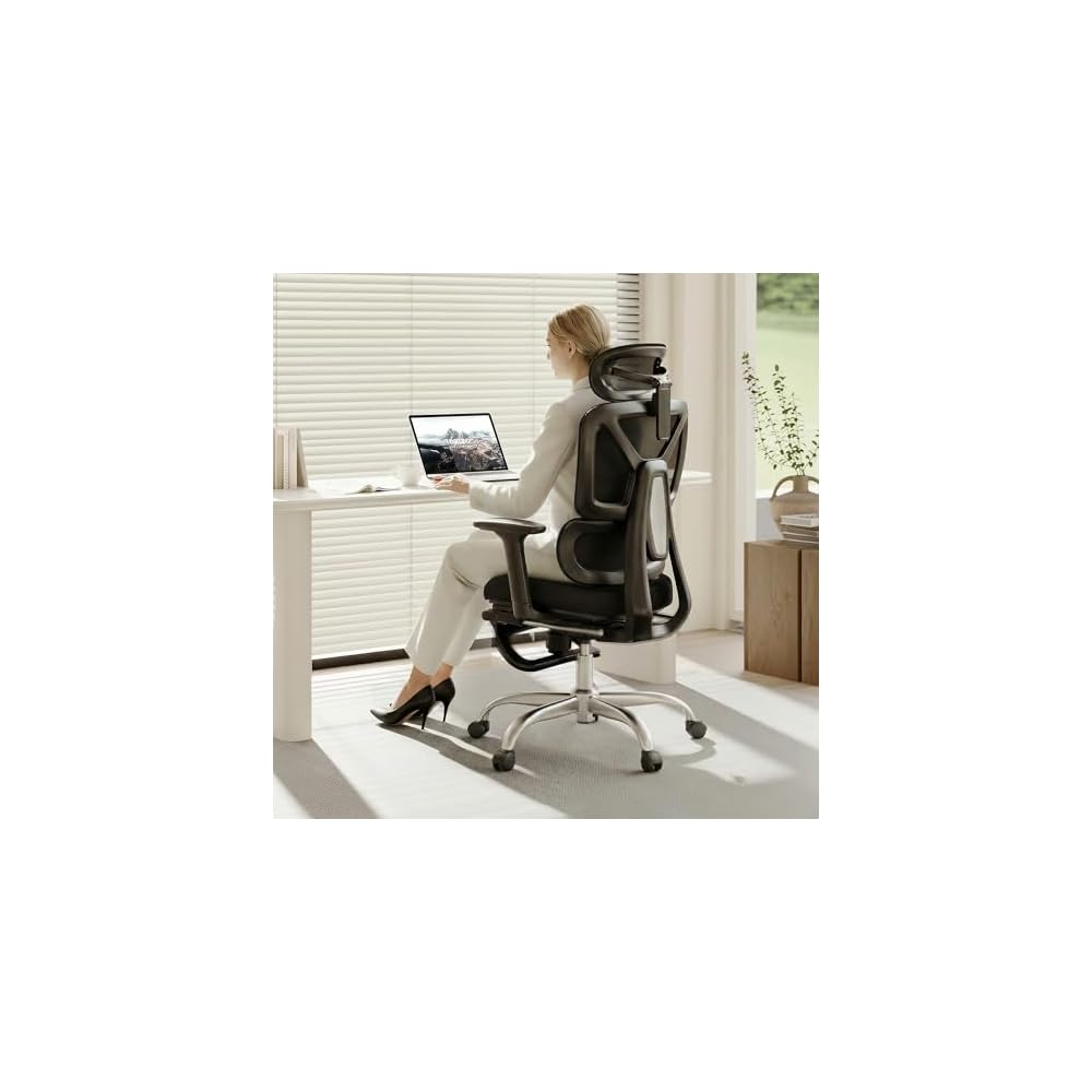 FLEXISPOT ErgoX Premium Ergonomic Office Chair Black FM-FT