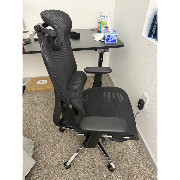 FLEXISPOT ErgoX Premium Ergonomic Office Chair Black FM-FT